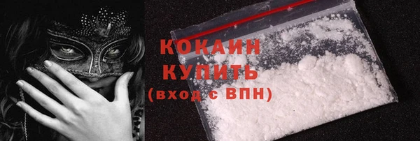 стафф Ельня