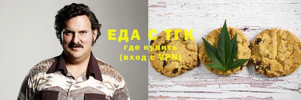 СК Дмитров