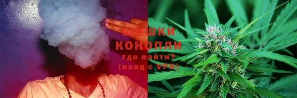 стафф Ельня