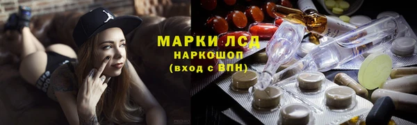 СК Дмитров
