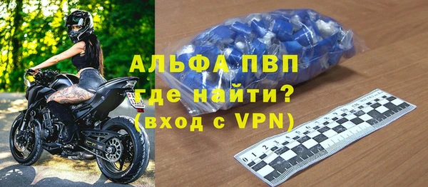 стафф Ельня