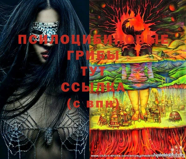 стафф Ельня