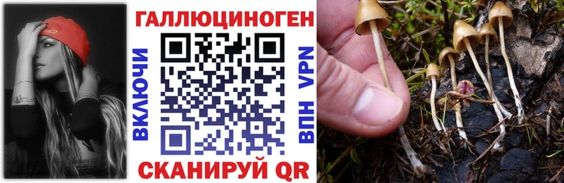 Псилоцибиновые грибы Cubensis  MEGA как войти  Камбарка 